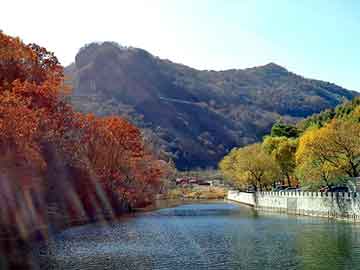 新澳天天开奖资料大全旅游团，鳄鱼肉价格